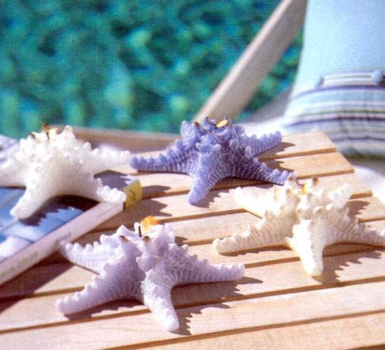 Deniz yıldızı mum modelleri