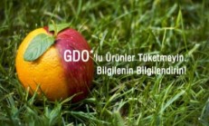 GDO nedir? Zararları Nelerdir?