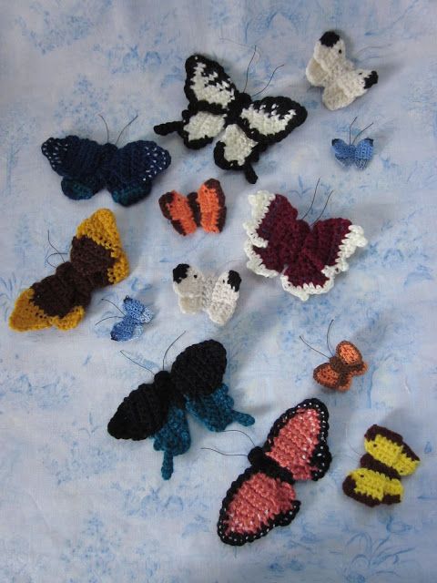 farklı kelebek modelleri