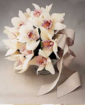 kırık beyaz gelin çiçeği  modeli