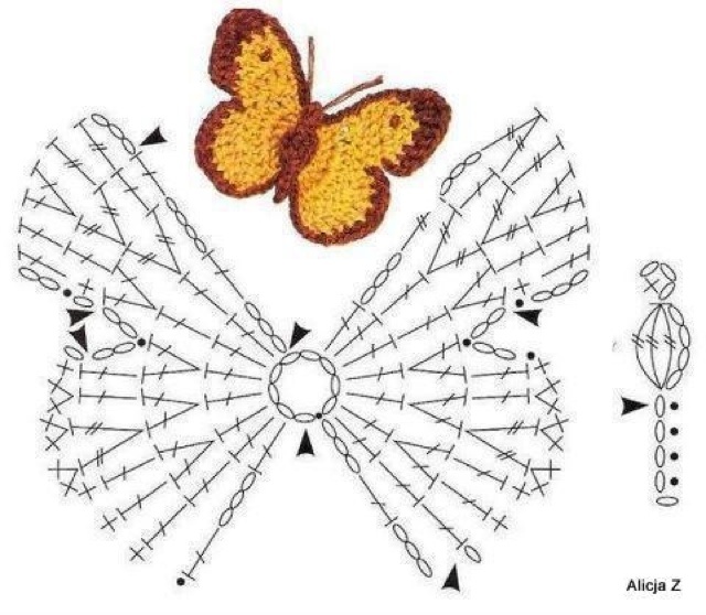 turuncu açıklamalı kelebek modeli