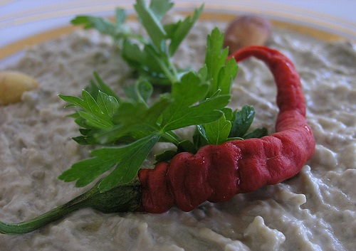 yoğurtlu patlıcan salatası