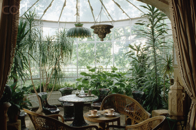 Winter Garden